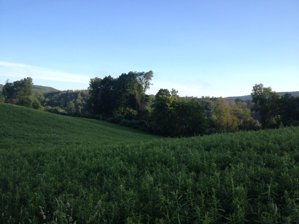 Lindsay Parsons Biodiversity and Nature Preserve.