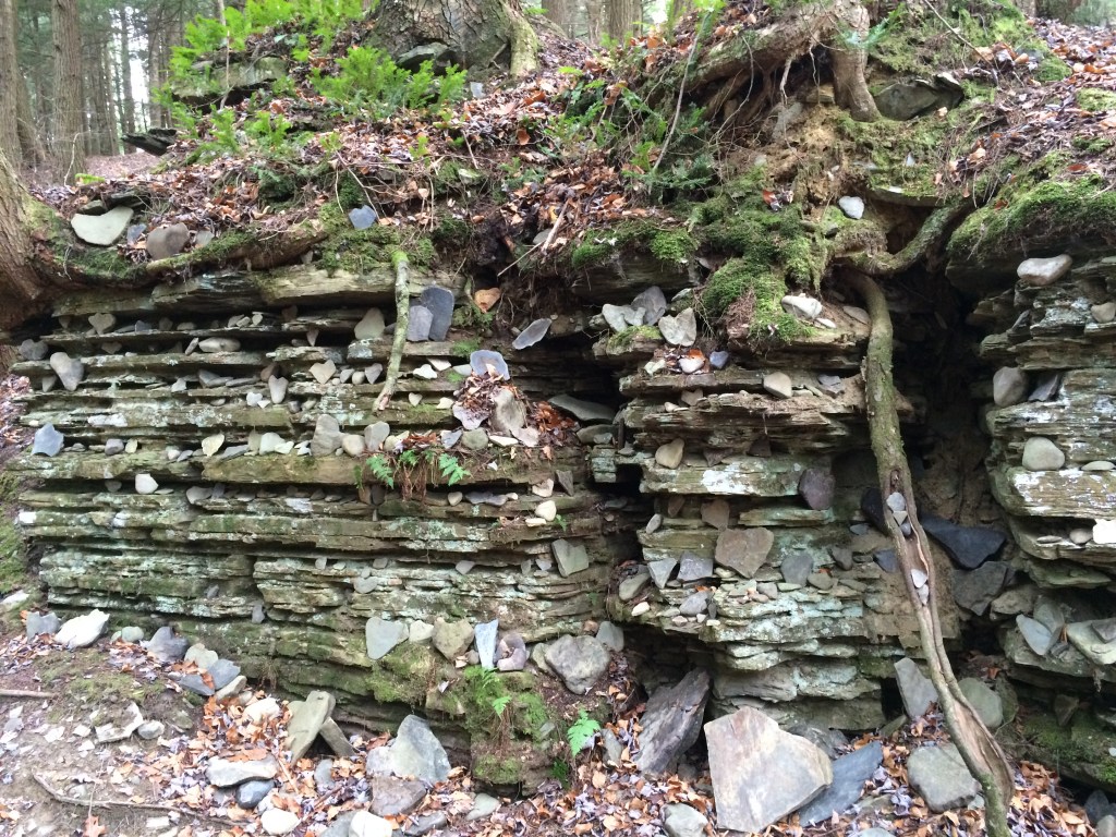 Heart shaped stones adorn creek edges in an art installation made by both man and nature.