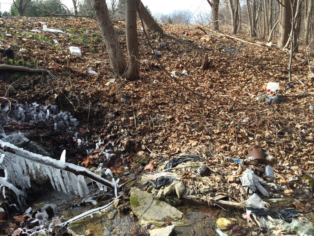 Trash resting in a stream beside a roadside pull off greets visitors.