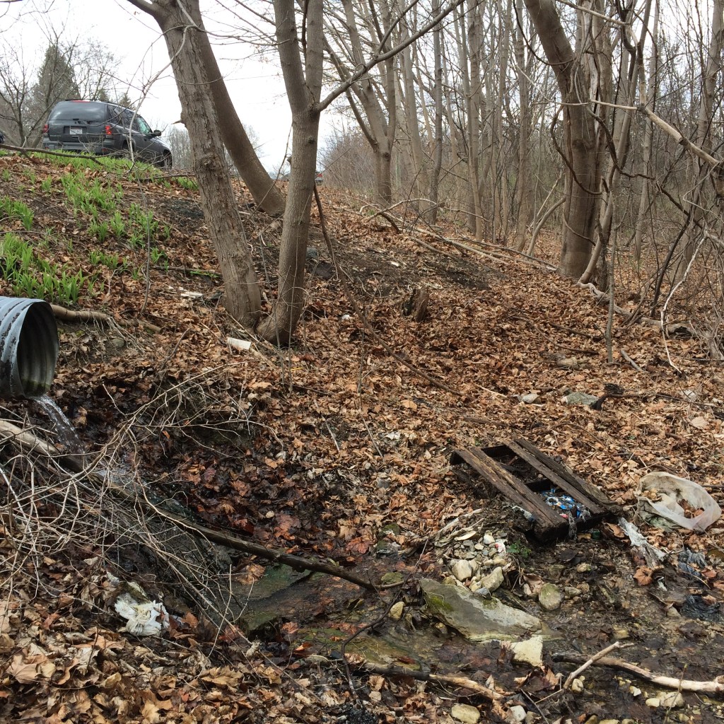 Trash pollutes a stream on a wooded hillside descending to Cayuga Lake.