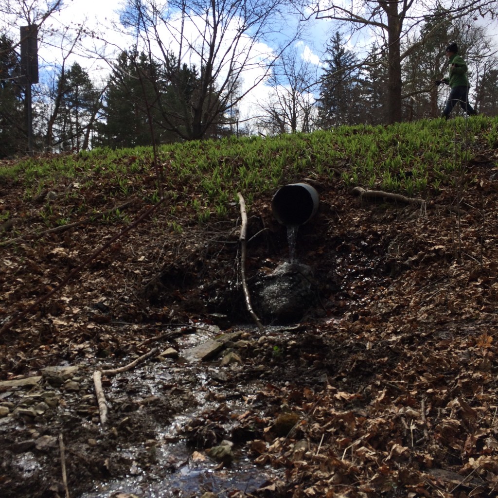 Blue skies and puffy clouds top this view of a stream without trash. 