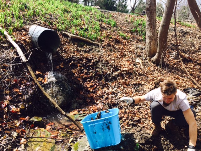 Harvesting rusty metal, wire and plastic