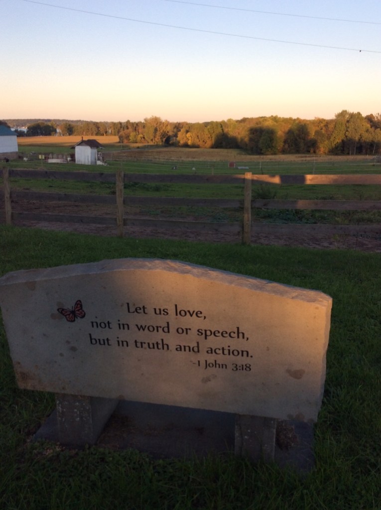 Stone Bench and View at Alasa Farms