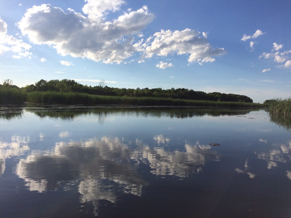 Still marsh waters foster huge reflection of sky and greenery